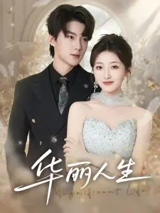 《华丽人生》：一场关于梦想与现实的黑色幽默之旅